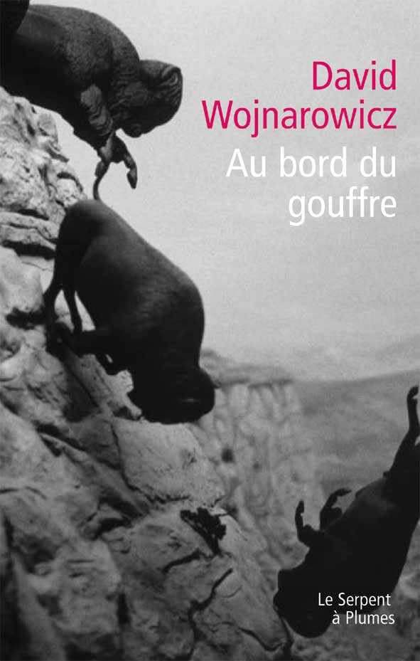 Au bord du gouffre, David Wojnarowicz